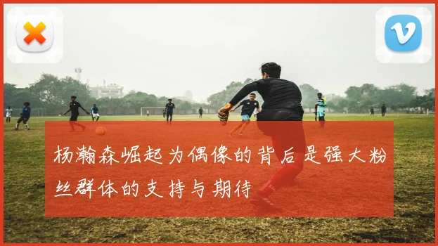 杨瀚森崛起为偶像的背后是强大粉丝群体的支持与期待