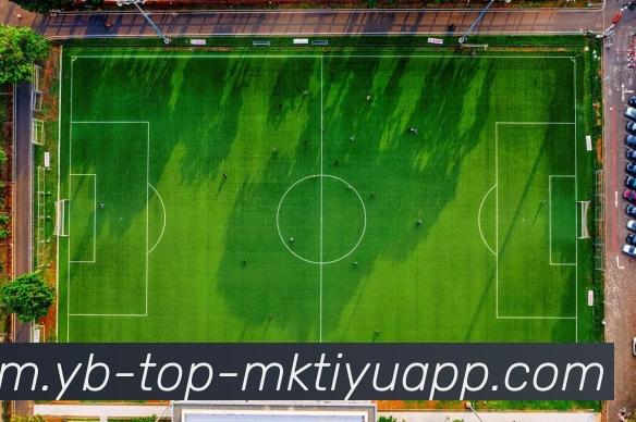 App Interface Preview