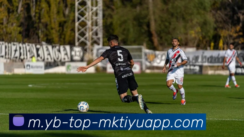 MK体育APP 封面图